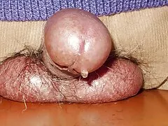 Булцгар